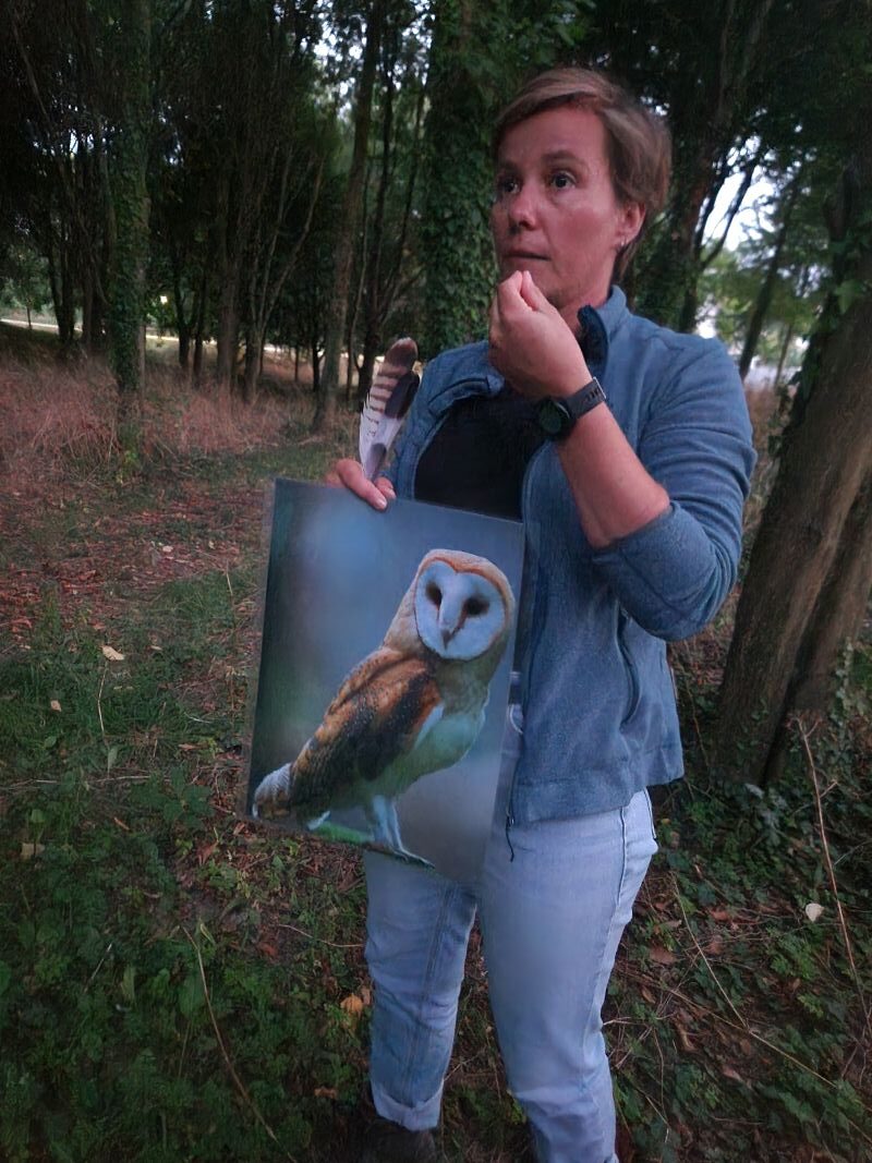 Belles de nuit balade crépusculaire à la rencontre de la faune nocturne Donville-les-Bains