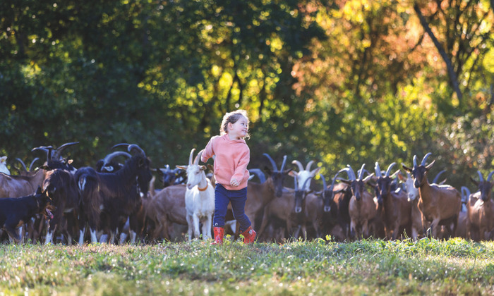 Bienvenue à la ferme - Cafés découverte 2026 La Boit’o zabeilles