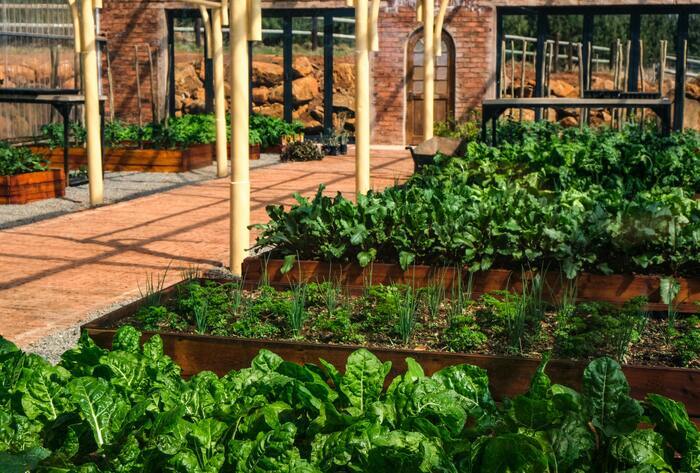 Biodiversité, photo et contes, Au Tournant du vivant, Colomiers