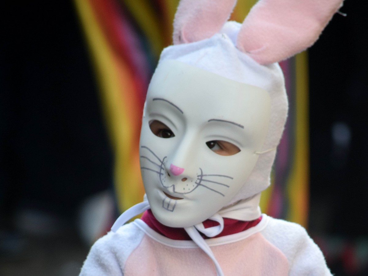 CARNAVAL DE LIMOUX 2027 CARNAVAL DES ENFANTS  Limoux 2027-02-24