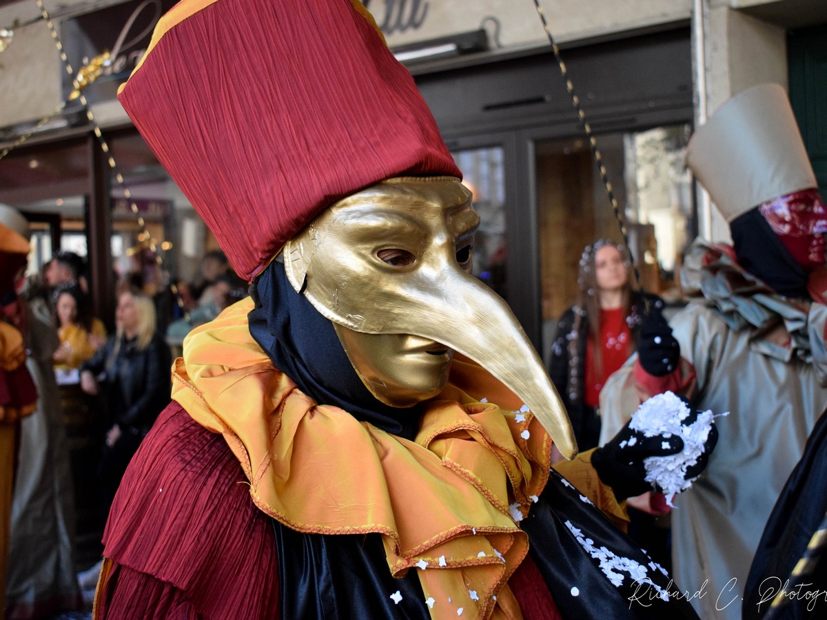 CARNAVAL DE LIMOUX 2027 LES JOUVES ET LES LIMOUXINS  Limoux 2027-03-13