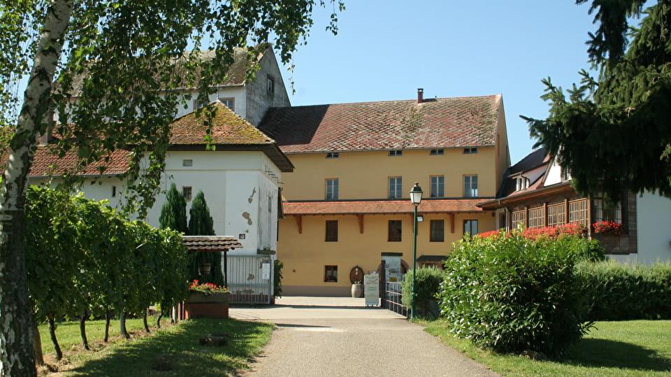 Cave ouverte  Marlenheim