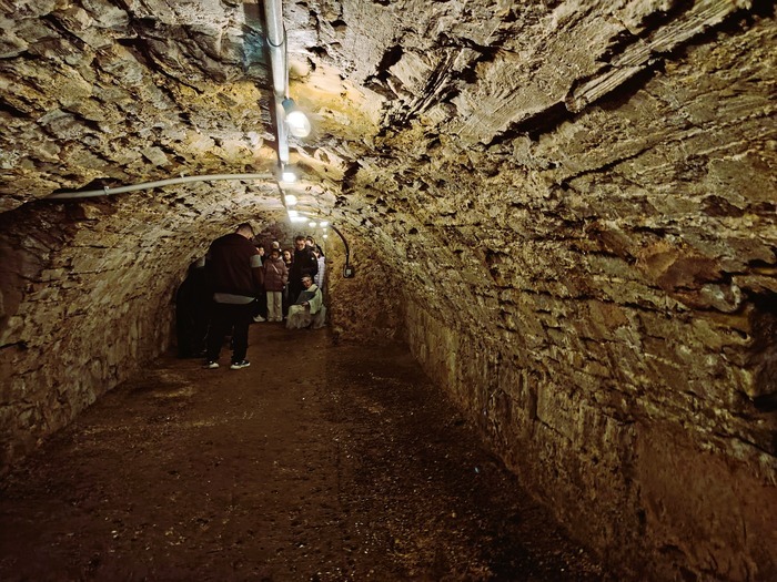 Caves du château, Hôtel de ville, Nangis