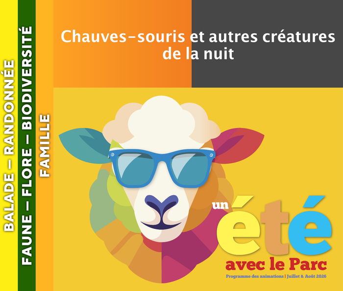 CÉVENNES – Chauves-souris et autres créatures de la nuit, Parking de la Magnanerie de la Roque, Molezon