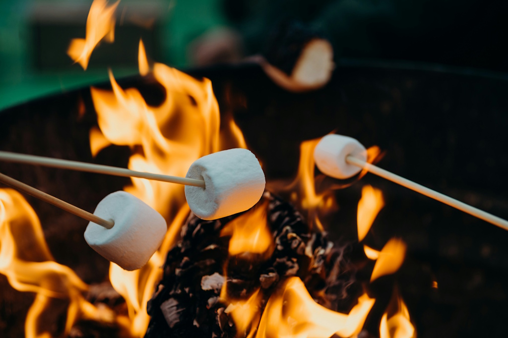 Chamallow grillés au camping des Roussilles 2 Les Roussilles Saint-Sylvestre 2026-07-21