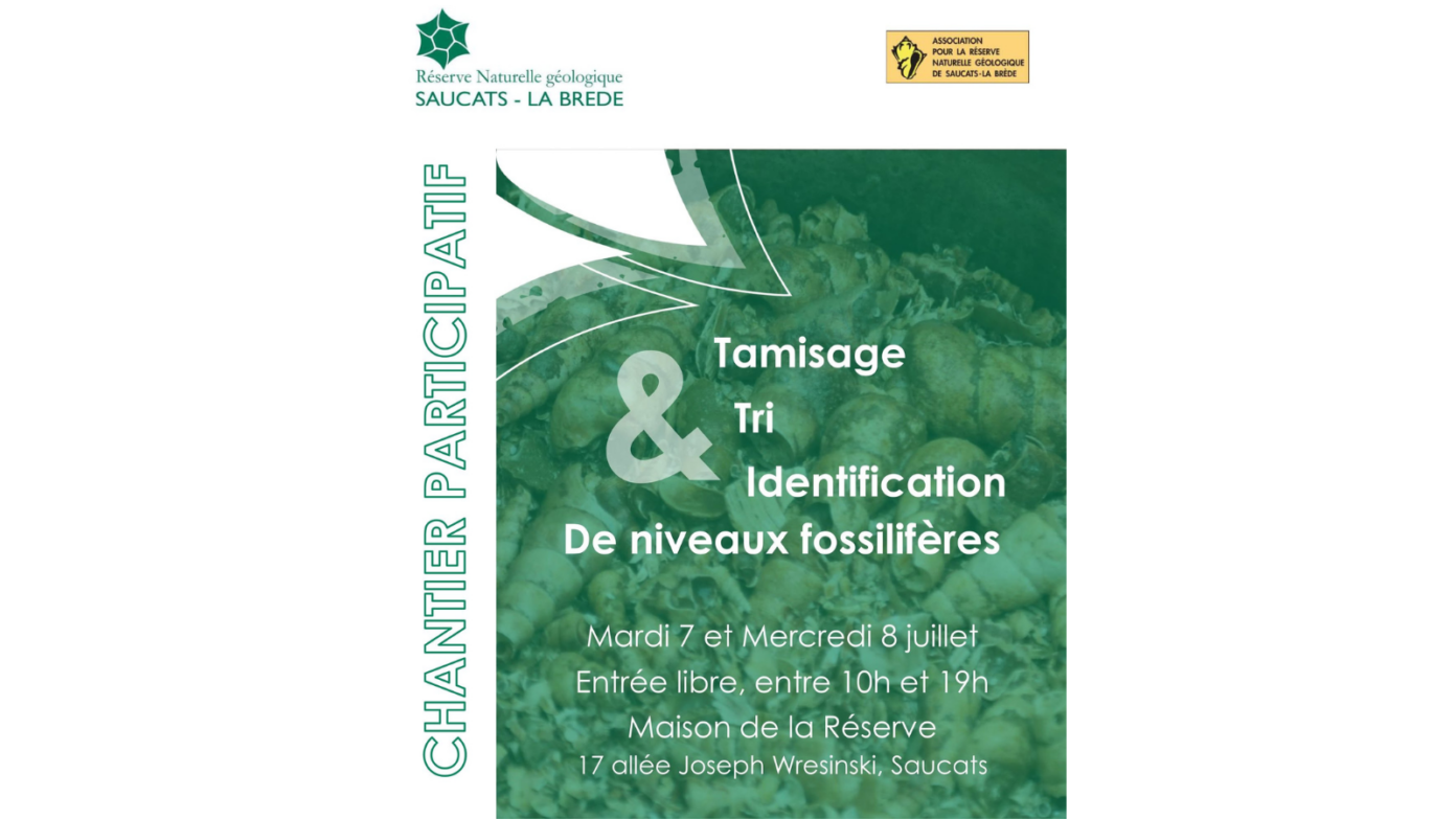 Chantier Participatif Tamisage, tri et identification de fossiles Réserve Naturelle Géologique Saucats