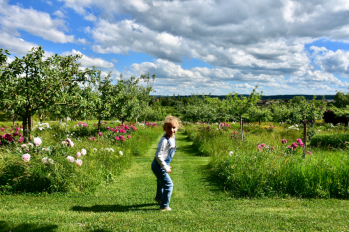 Chasse au trésor – à l&rsquo;école de la nature, Jardins Fruitiers, Laquenexy