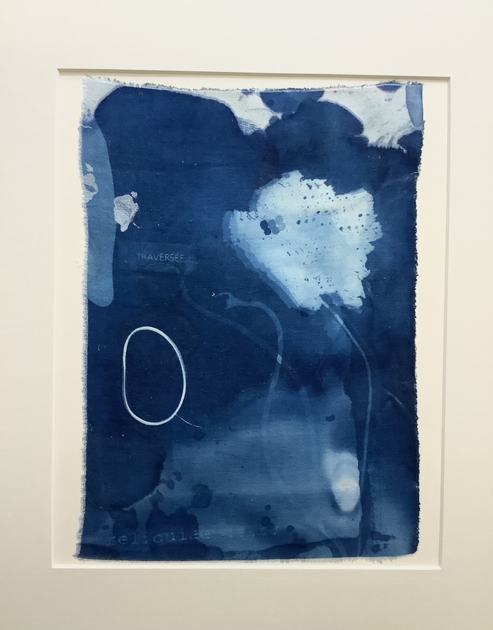 Chasseurs d’Ombres et de Bleu, 30 avenue de paris, Roanne