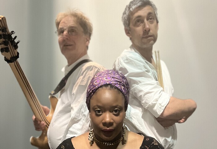 Chère Ijeawele