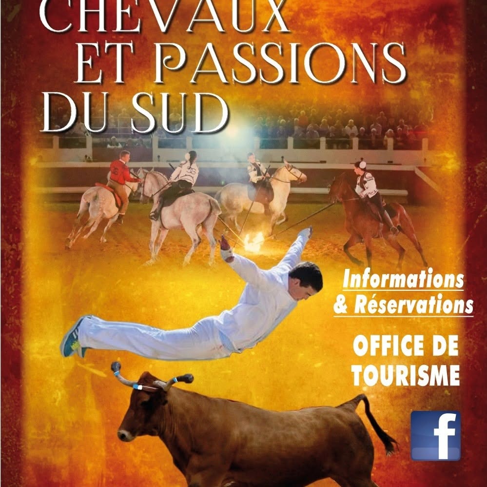Chevaux et Passions du Sud Casteljaloux