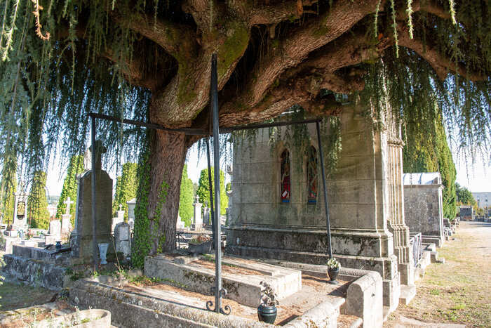 Cimetière de Louyat : Les femmes dans la Résistance Cimetière de Louyat Limoges