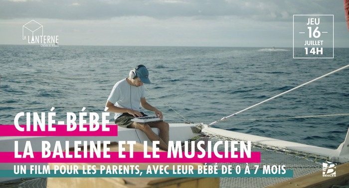 Ciné-Bébé : La Baleine et le Musicien Cinéma La Lanterne Bègles