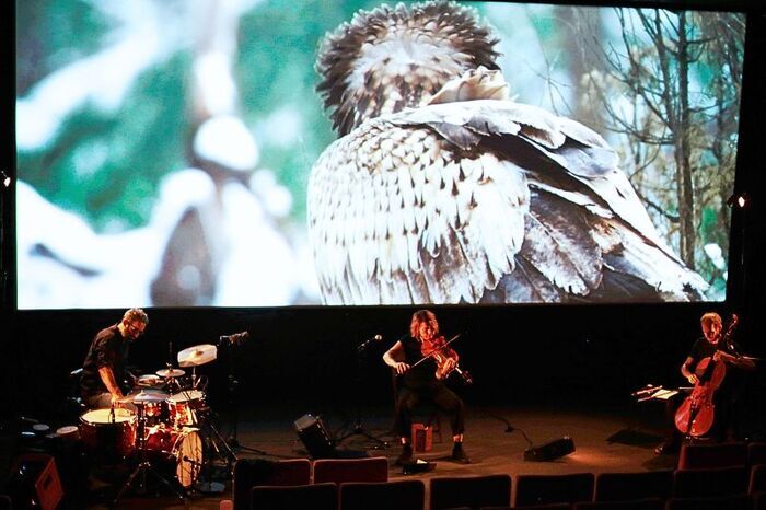 Ciné-Concert : Dans les bois La Cité du Vin Bordeaux