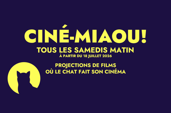 Ciné-Miaou, Muséum de Bordeaux – sciences et nature, Bordeaux