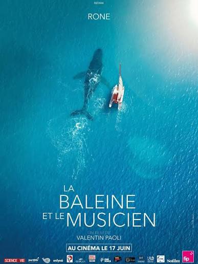 Ciné Rencontre La Baleine et le musicien Cinéma Grand Ecran Saint-Vincent-de-Tyrosse