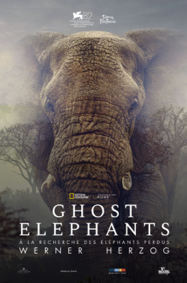 Cinéma Arudy Ghost elephants Cinéma Saint Michel Arudy