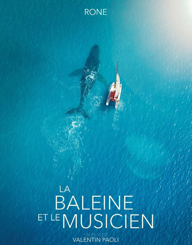 Cinéma Arudy La Baleine et le musicien Cinéma Saint Michel Arudy