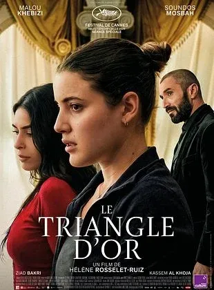 Cinéma Le Triangle d’or Mur-de-Barrez