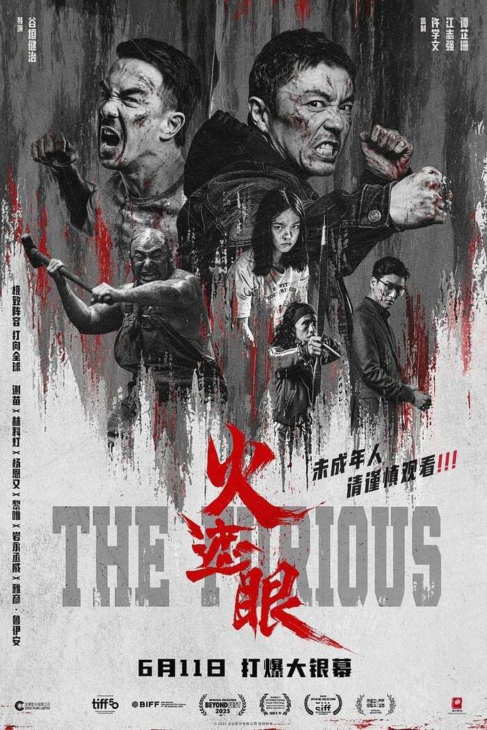 Cinéma: The furious, Cinéma Le Dunois Beaugency, Beaugency