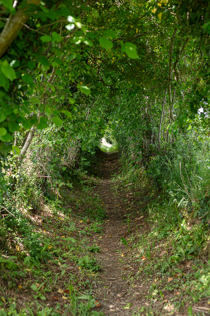 Circuit : à la croisée des chemins, quand les vivants se racontent, Dangy, Dangy