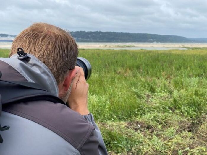 Circuit : balade-atelier « l’estuaire de la Seine à travers l’œil du photographe », Réserve naturelle de l’estuaire de la Seine – Maison de la réserve – Salle Avocette, Sandouville