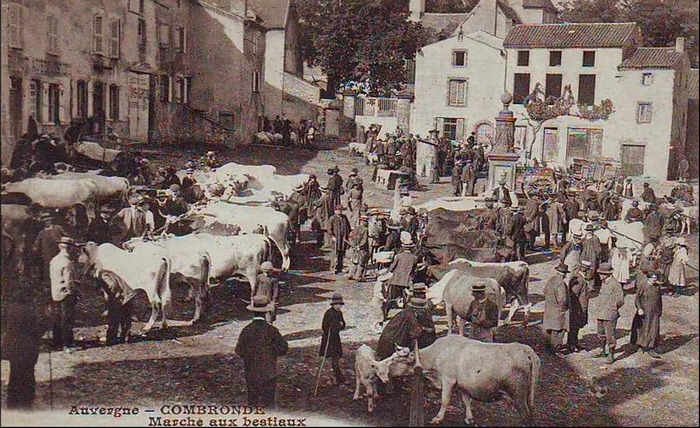 Circuit « Figures historiques », Château des Capponi, Combronde