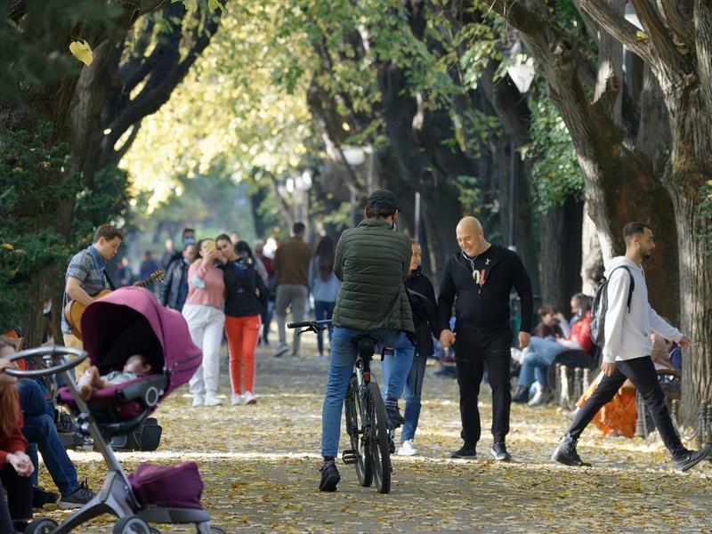 Cirk’en Rue Schirmeck