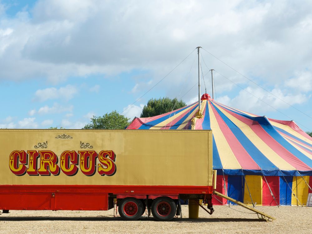 Cirque Calypso  Seignosse