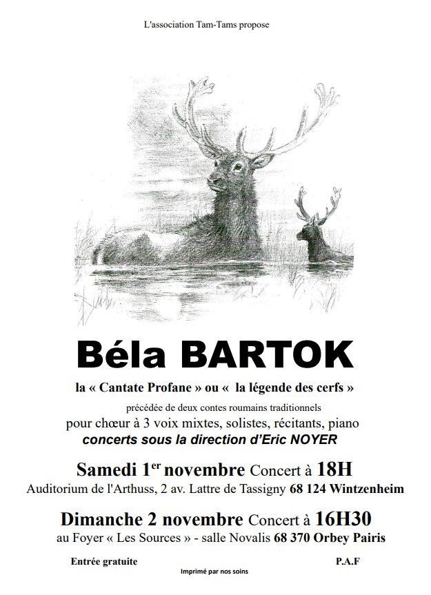 Concert Béla Bartok  Wintzenheim