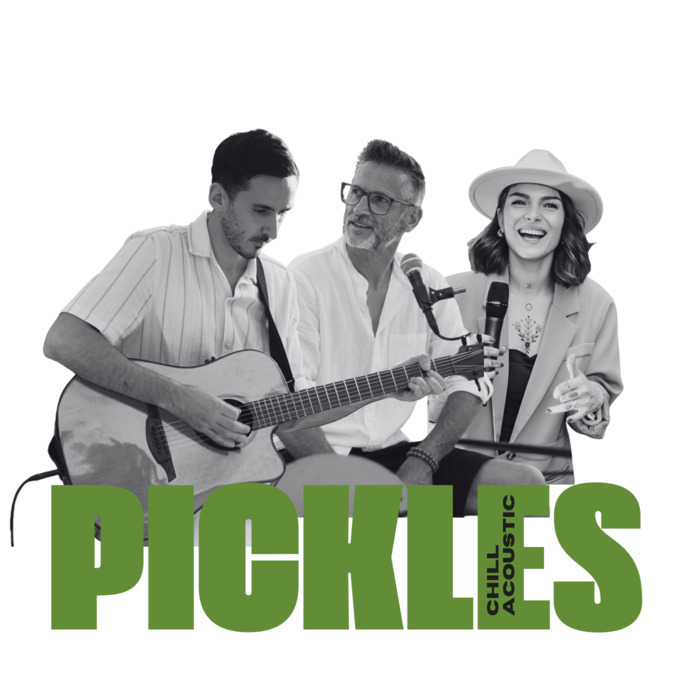 Concert de musique, groupe Pickles Trio, Musée Hyacinthe Rigaud, Perpignan