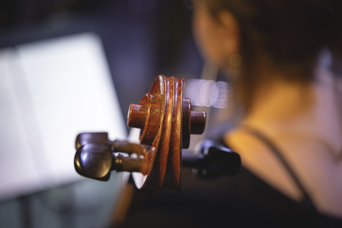 Concert du dimanche, Grand-Théâtre, Salon Boireau, Bordeaux