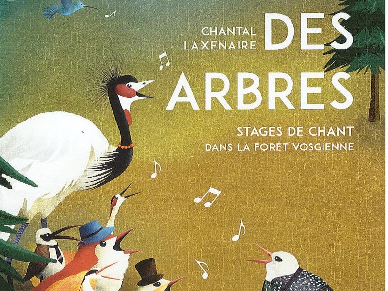 Concert le Chant des Arbres Église du Haut du Tôt Sapois