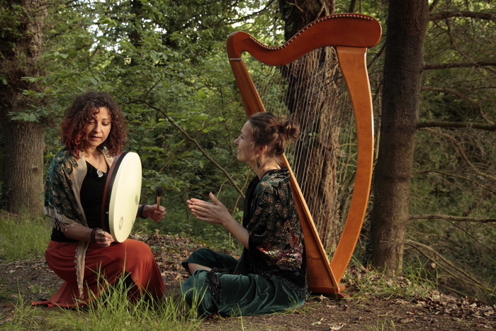 Concert sur le site archéologique de Boutavent, Site médiéval de Boutavent, Iffendic