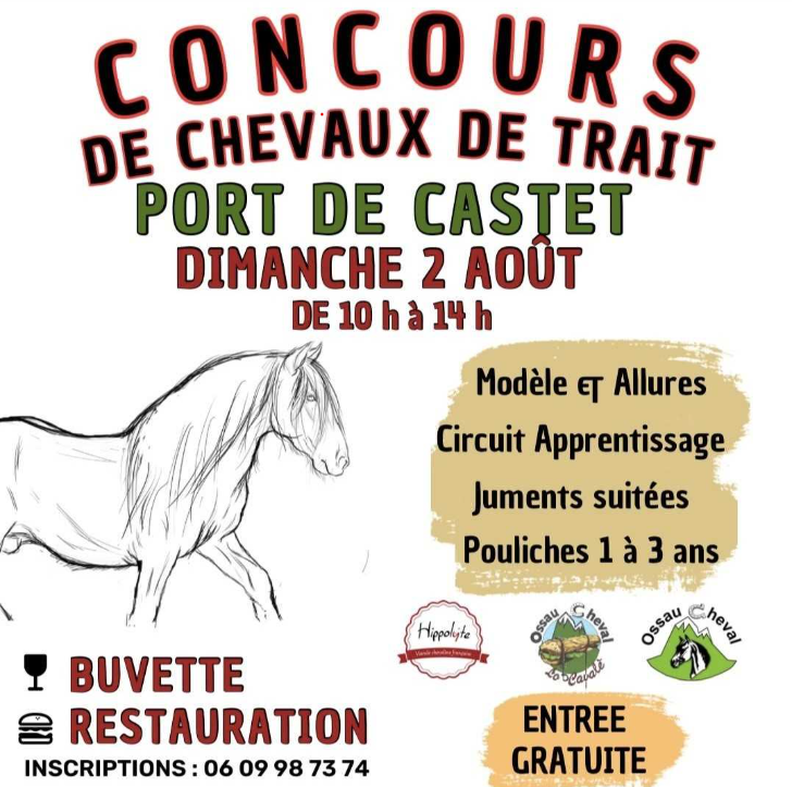 Concours de chevaux de trait Castet