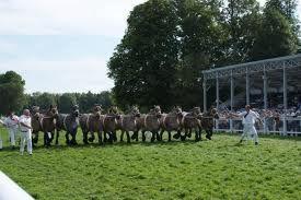 Concours national de chevaux ardennais Vittel