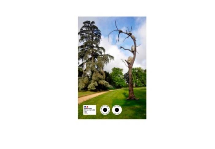 Conférence « ÉTRE ARBRE » EN ART CONTEMPORAIN, Galerie Remp-arts, Durban-Corbières