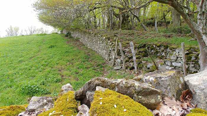 Conférence : Les murs en pierres sèches