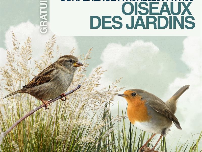 Conférence Les oiseaux des jardins Hettange-Grande