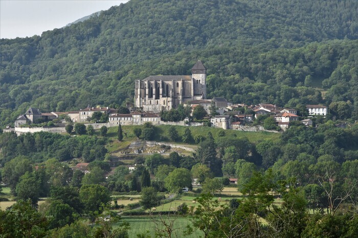 Conférence « Saint-Bernard : une cité canoniale en Comminges », Musée archéologique départemental, Saint-Bertrand-de-Comminges