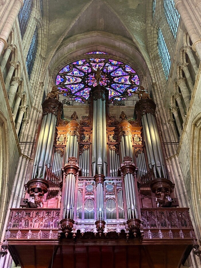 Conférence sur l&rsquo;orgue de la Cathédrale, Cathédrale Notre-Dame de Reims, Reims