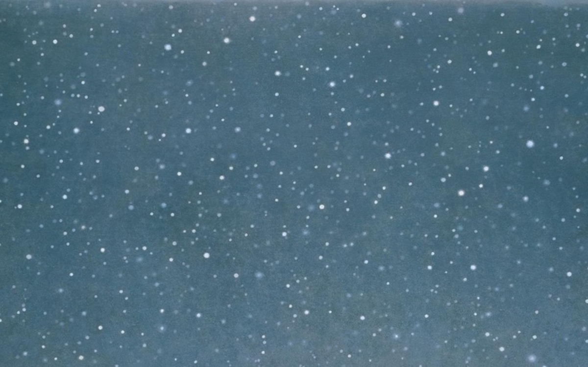 Contrepoint contemporain. Vija Celmins Musée de l'Orangerie  Paris