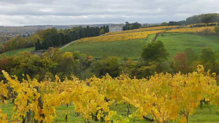 Coulée de Serrant, Château de la Roche aux Moines – Coulée de Serrant, Savennières