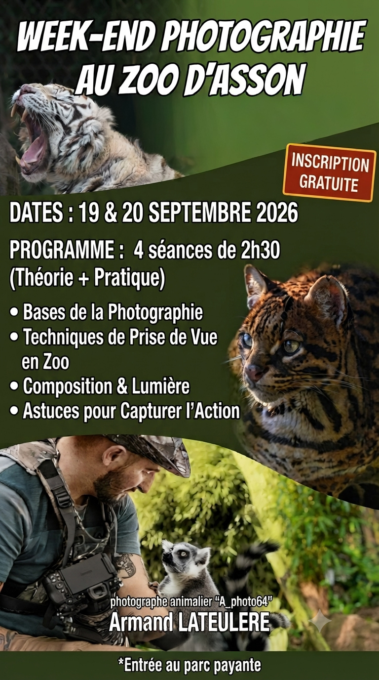 Cours gratuit de photographie animalière Zoo d&rsquo;Asson Asson