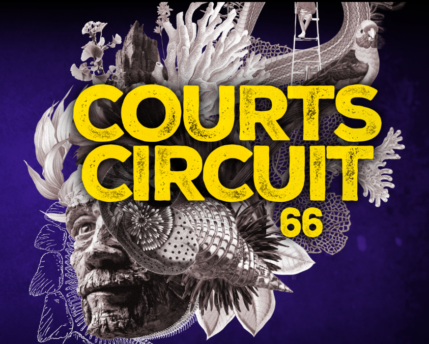 COURTS-CIRCUIT 66 Collioure