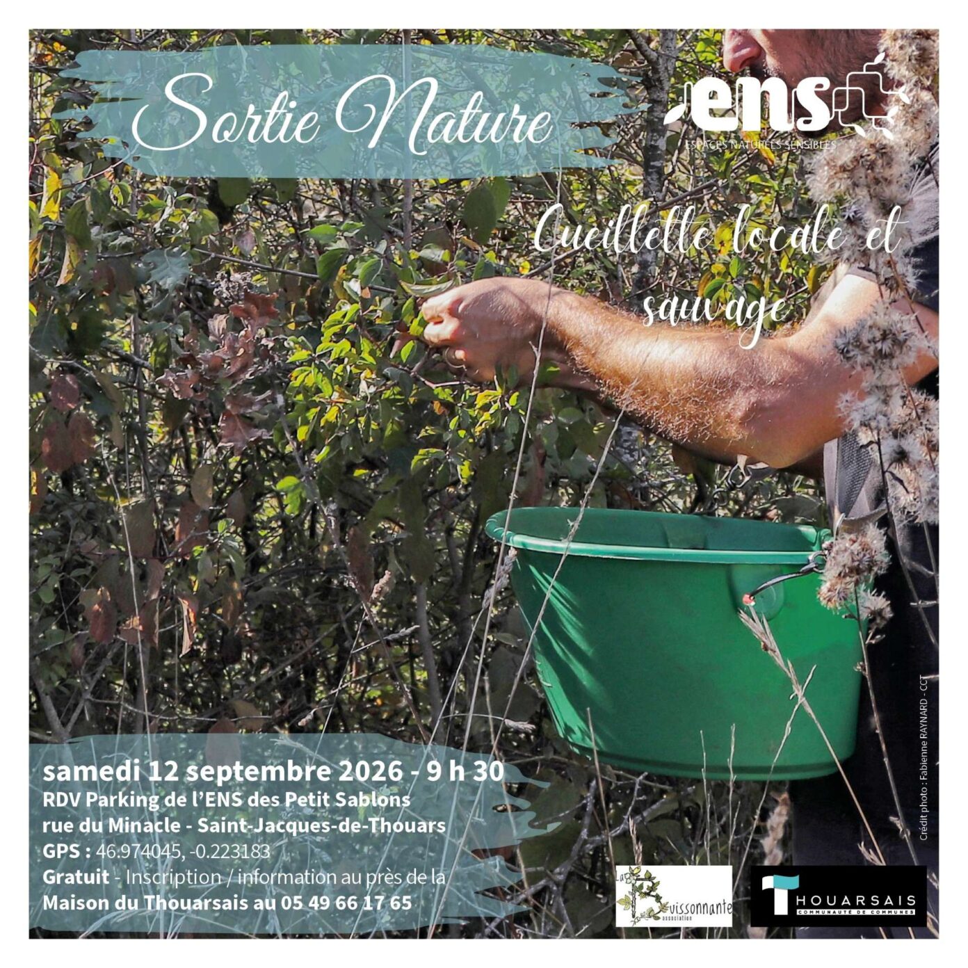 Cueillette locale et sauvage Rue du Minacle Saint-Jacques-de-Thouars