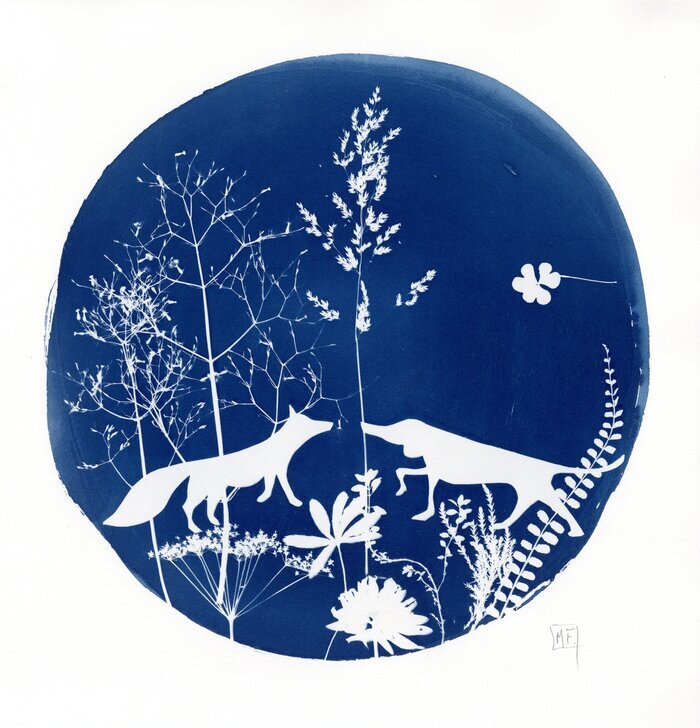 Cyanotype, Musée montagnard, Les Houches