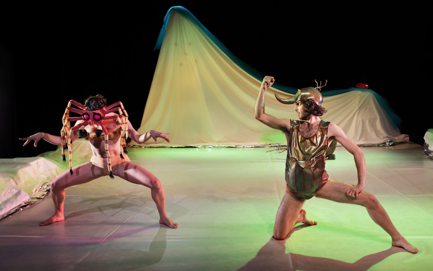 Danse contemporaine Mamuka Place Xan Ithourria Saint-Pée-sur-Nivelle