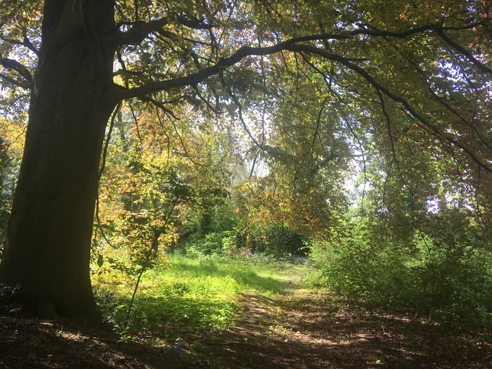 Découvert du jardin du hêtre Jardins du Hêtre Roubaix