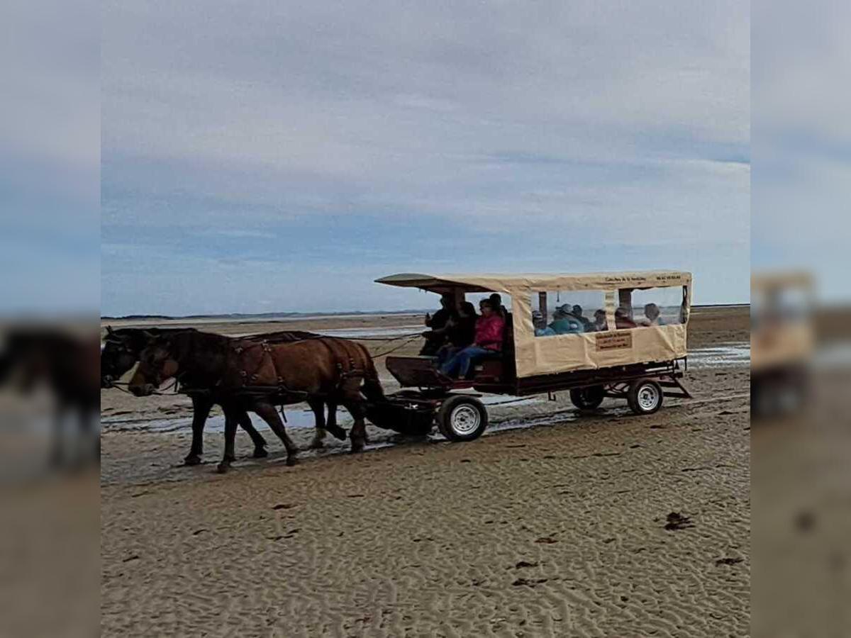 Découverte de la Pêcherie La Maillard en calèche 23 Rue de la Bredaine Montmartin-sur-Mer 2026-08-31