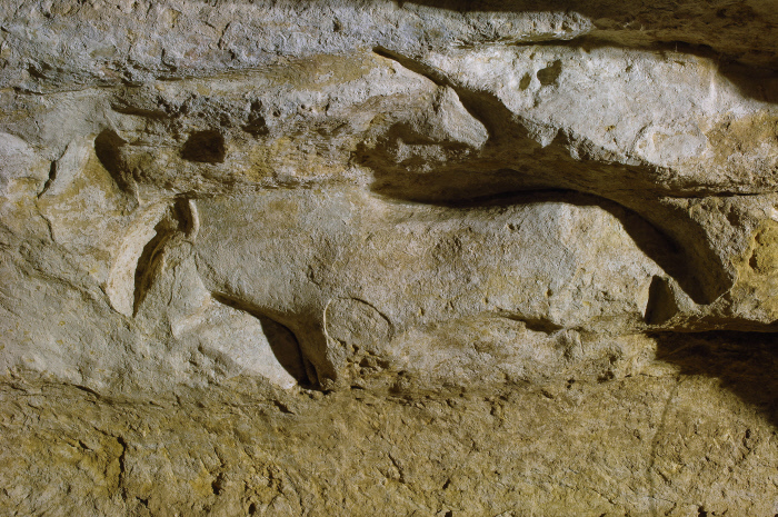 Découverte de l’un des plus grands chefs-d’œuvre de la sculpture monumentale paléolithique !, Abri du Cap-Blanc, Marquay
